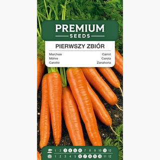 Carota First Harvest - Varietà per gli impazienti - perfetta per insalate e succhi!