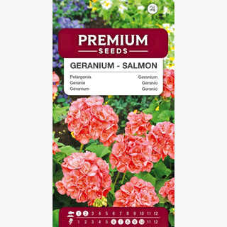 Geranio - Salmone - Ideale per balcone e terrazza - Pelargonium zonale