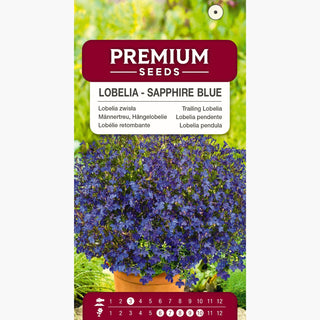 Lobelia pendente - Blu Zaffiro - Decorazione affidabile per tutta l’estate - Lobelia pendula