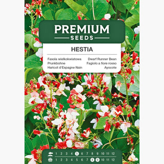 Fagiolo a fiore rosso - Hestia - Ideale per la coltivazione in vaso