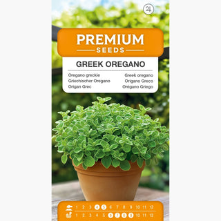 Origano Greco - Sapore e aroma molto intensi, per coltivazione in giardino e in vaso - Origanum vulgare ssp. hirtum