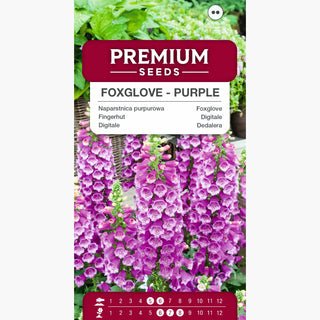 Digitale - Porpora - Fusti maestosi dal colore eccezionale - Digitalis purpurea