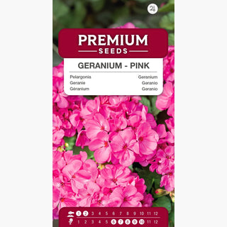 Geranio - Rosa - Facile da coltivare in vaso - Pelargonium zonale