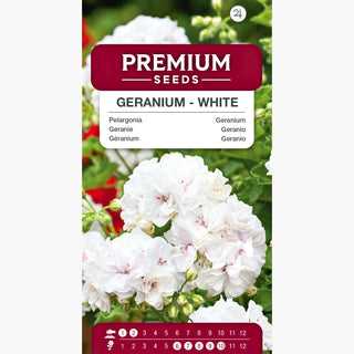 Geranio - Bianco - Ottima per vasi e cassette - Pelargonium zonale