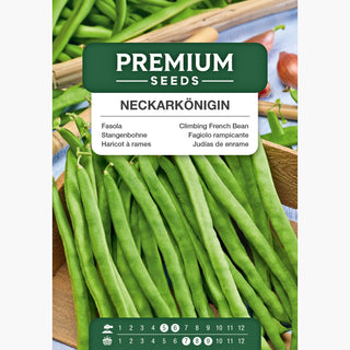 Fagiolo rampicante - Neckarkönigin - Ideale per la cottura e il congelamento