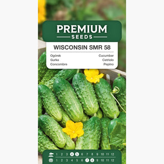 Cetriolo - Wisconsin SMR 58 - Medio precoce, produttivo, molto resistente