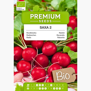 BIO Ravanello Saxa 2 - Raccolto sicuro già dopo poche settimane