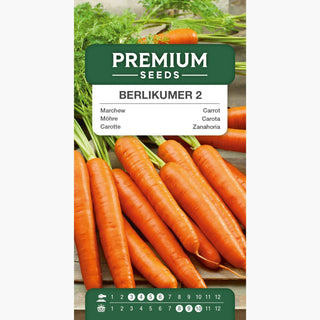 Carota Berlikumer 2 - Perfection - Succosa e dolce, perfetta per succhi e puree
