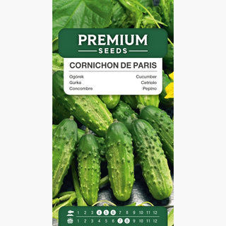Cetriolo Piccolo di Parigi - Produttivo, sottile, perfetto per i sottaceti