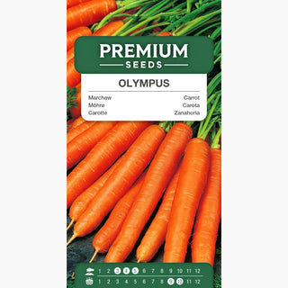 Carota Olympus - Polpa dolce e succosa, facile da coltivare
