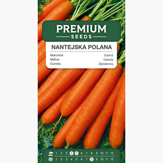Carota Nantejska Polana - Affidabile, produttiva e piena di sapore! succosa e dolce