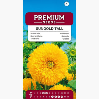 Girasole Sungold Tall - Fiori pieni sorprendenti: soffici e gialli! - Helianthus annuus