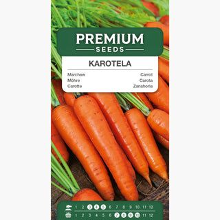 Carota Karotela - Raccolti affidabili, perfetta per succhi