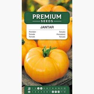 Pomodoro Jantar - Facile da coltivare, alta produttività, sapore eccellente