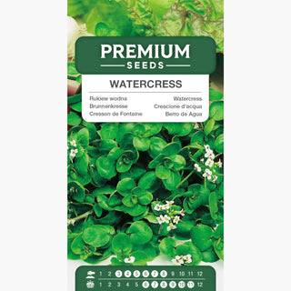 Crescione d'acqua - Superfood a portata di mano! - Nasturtium officinale