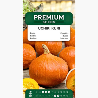 Zucca Uchiki Kuri - Decorativa e deliziosa, dolcemente succosa - Cucurbita maxima