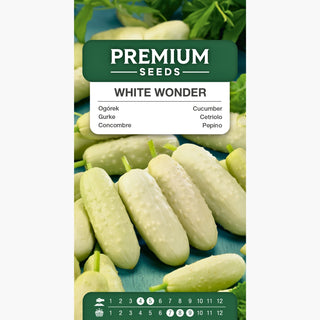 Cetriolo White Wonder - Super produttivo, gustoso e facile da coltivare, perfetto per sottaceti