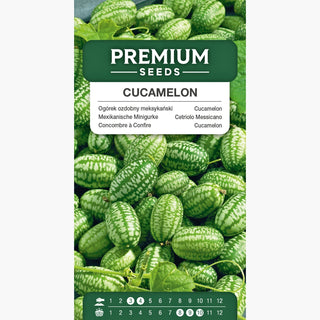 Cetriolo Messicano - Sapore di cetriolo, dimensione di un acino d’uva