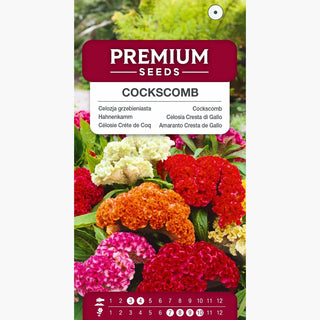 Celosia Cresta di Gallo - Spettacolare gamma di colori in giardino! - Celosia argentea var. cristata
