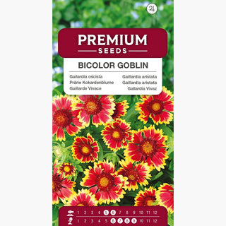Gaillardia aristata Nana - Bicolor Goblin - Varietà nana nei toni del rosso e dell’oro - Gaillardia aristata