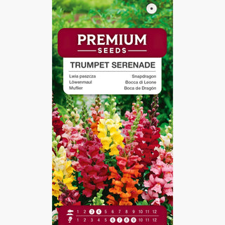 Bocca di Leone - Trumpet Serenade - Fiori a tromba, super belli e colorati! - Antirrhinum majus nanum