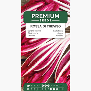 Cicoria Rossa di Treviso - Sapore delicato, eccellente cruda e stufata! - Cichorium intybus var. foliosum