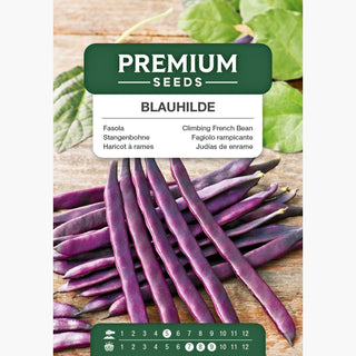 Fagiolo rampicante - Blauhilde - Varietà a crescita vigorosa