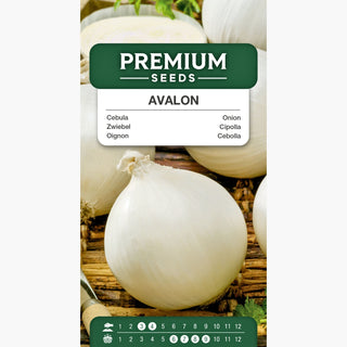 Cipolla Avalon - Delicata e dolce! - sapore squisito per tutti! - Allium cepa