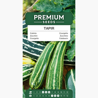 Zucchino Tapir - Perfetto per stufare, friggere e farcire!