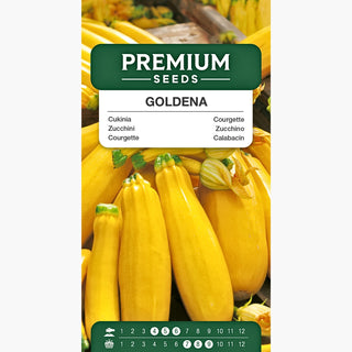Zucchino Goldena - Frutti succosi, pieni di vitamine, perfetti per casseruole