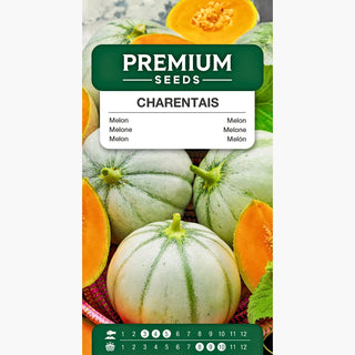 Melone Charentais - Aromatico e rinfrescante, facile da coltivare - Cucumis melo