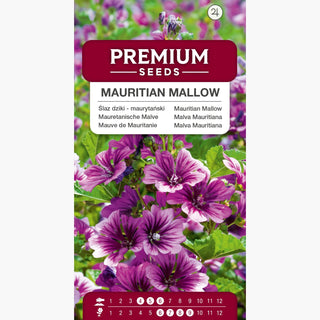 Malva Mauritiana - Decorativa, di un viola intenso - Malva sylvestris L. var. mauritiana