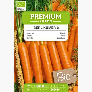 BIO Carota Berlikumer 2 - Varietà biologica abbondante e resistente