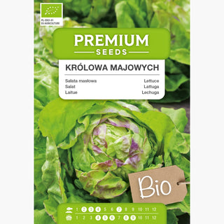 BIO Lattuga Regina di Maggio - Precoce, burrosa, naturale