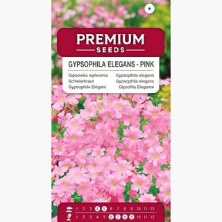 Gypsophila elegans - Rosa - Tocco romantico per bouquet - Gypsophila elegans