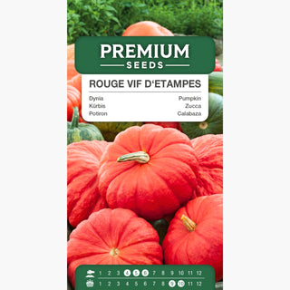 Zucca - Rouge vif d'Etampes - Varietà dal sapore dolce e facile da coltivare - Cucurbita maxima - Semi Premium