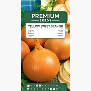Cipolla - Yellow Sweet Spanish - Grande, sferica, sapore delicato, resistente al gelo - Allium cepa