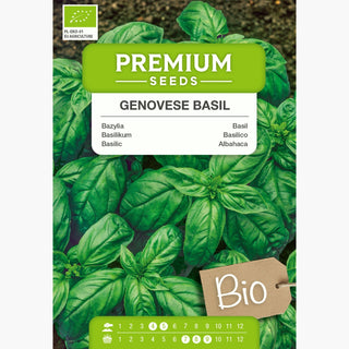 BIO Basilico Genovese - Sapore e aroma straordinari - Ocimum basilicum