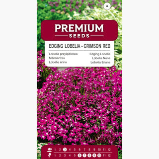Lobelia Nana - Rosso Cremisi - Accento rosso intenso per le aiuole - Lobelia erinus