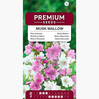 Malva Moschata - Miscuglio - Fiori pastello per tutta l’estate - Malva moschata