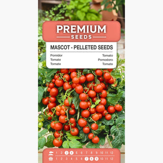 Pomodoro Mascot - Semi pellettati - Produttività e sapore dolce, perfetto per insalate