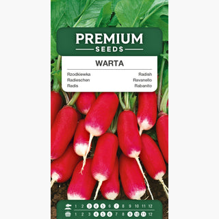 Ravanello Warta - Leggermente piccante a produzione uniforme