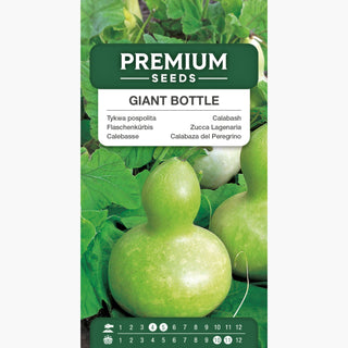 Zucca Lagenaria - Giant Bottle - Frutti giganti, unici, a forma di bottiglia - Lagenaria siceraria