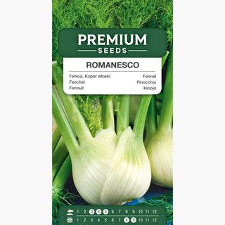 Finocchio Romanesco - Bulbi giganti e carnosi. eccellente per friggere e cucinare! - Foeniculum vulgare