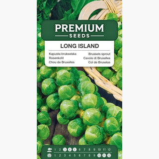 Cavolo di Bruxelles Long Island - Fino a 40-60 teste per pianta, raccolti abbondanti e rapidi