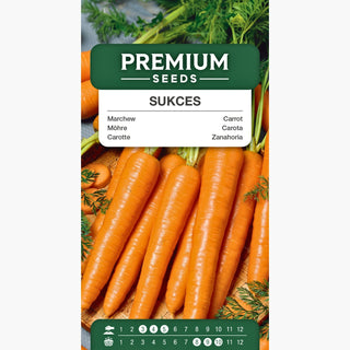 Carota Sukces - Dolce e croccante, ricca di beta-carotene.