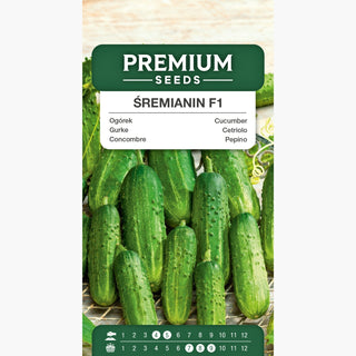 Cetriolo Śremianin F1 - Molto precoce, abbondantemente produttivo, resistente alle malattie