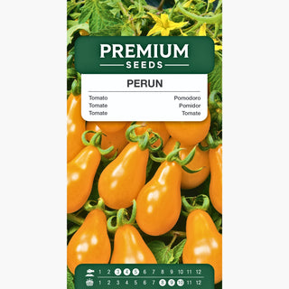 Pomodoro Perun - Alto, tardivo, produttivo e saporito
