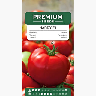 Pomodoro Hardy F1 - Alta produttività e resistenza, super gustoso