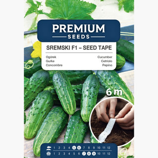 Cetriolo Śremski F1 - Nastro preseminato - Resistente alle malattie, ideale per conserve